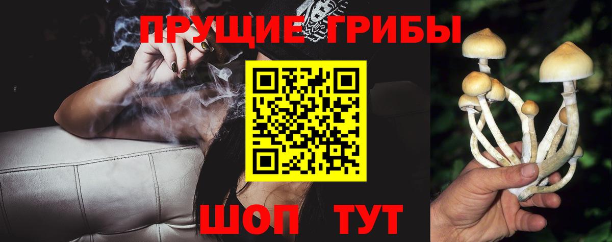 Псилоцибиновые грибы Magic Shrooms Нягань